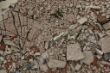 DSC00578.JPG