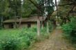 DSC00039.JPG