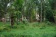 DSC00044.JPG