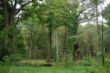 DSC00070.JPG