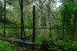 DSC00076.JPG