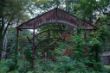 DSC00110.JPG