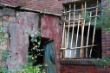 DSC00247.JPG