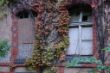 DSC00290.JPG