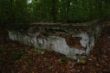 DSC00323.JPG