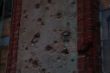 DSC00333.JPG