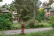 DSC00355.JPG