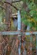 DSCF6103.JPG