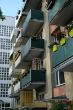 DSCF6152.JPG