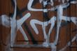 DSCF6187.JPG