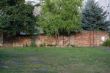 DSCF6209.JPG