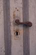 DSCF6443.JPG