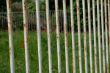DSCF0383.JPG
