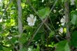 DSCF0414.JPG