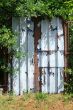 DSCF0437.JPG