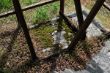 DSCF0447.JPG